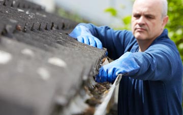 cleaning and inspecting How Green roofs