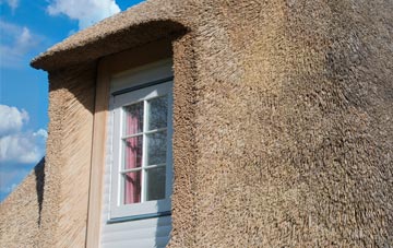 How Green thatch roof disadvantages