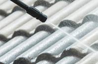 rated How Green roof cleaning companies