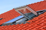 How Green roof window