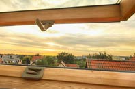 rated How Green roof window companies